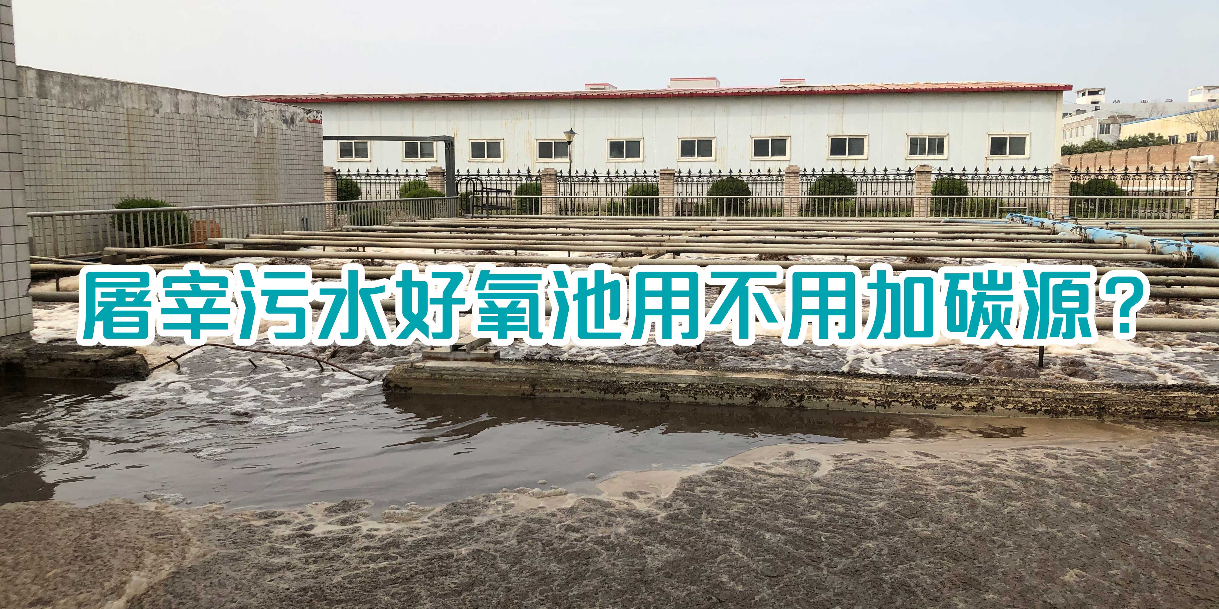 屠宰污水好氧池用不用加碳源？