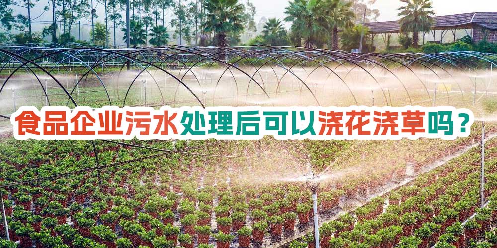 食品企業(yè)污水處理后可以澆花澆草嗎？