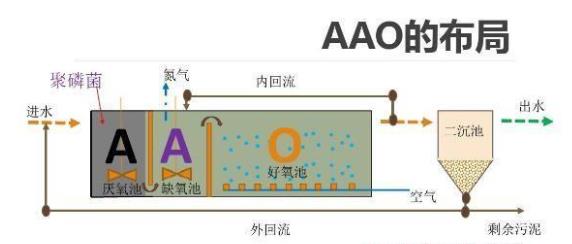 食品廢水處理AAO工藝和倒置AAO工藝的區(qū)別是什么?