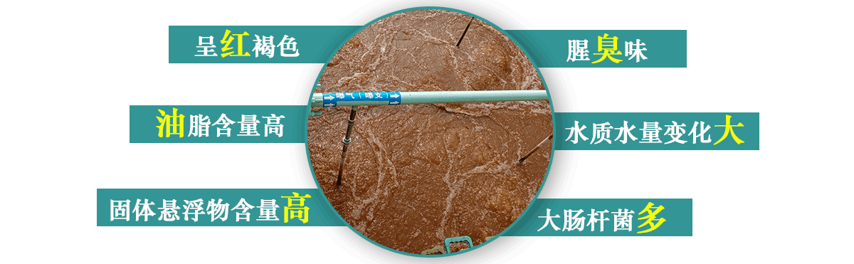 屠宰廢水處理特點(diǎn)-詳情頁(yè)_10